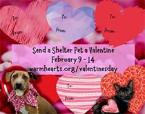 Send a Valentine to a Shelter Pet!